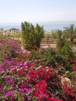 Okolí Mrtvého moře z jordánské strany